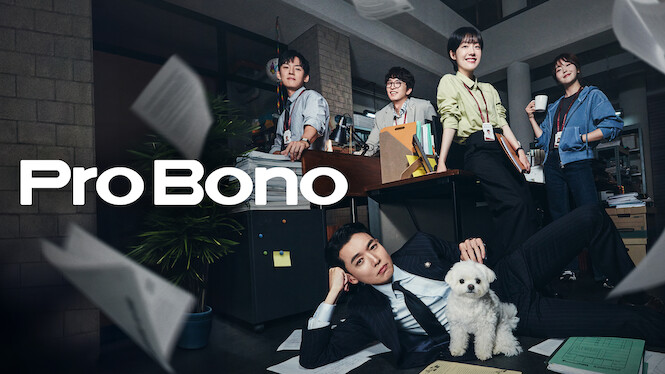 Pro Bono 2025