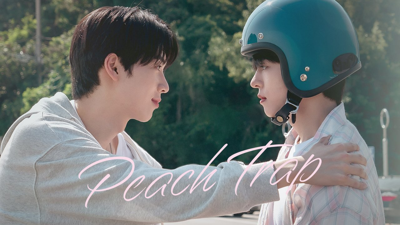 Peach Trap 2025